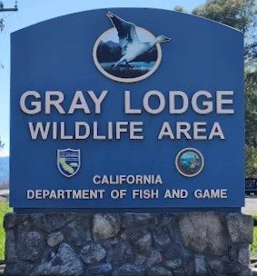 Ducks Unlimited Begins Construction on Major Habitat and Auto Tour Loop Upgrades at Gray Lodge Wildlife Area